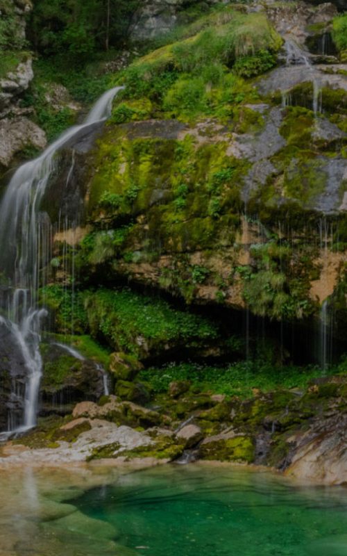 Clip@2xb4-1536x809-1-n